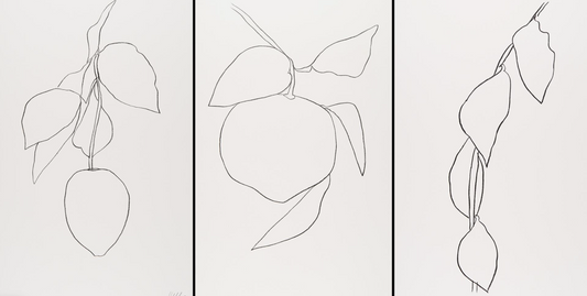 Ellsworth Kelly Plant Lithographs