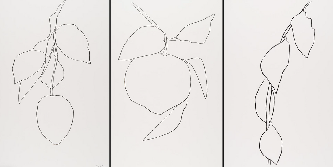 Ellsworth Kelly Plant Lithographs